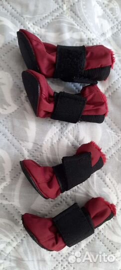 Шлейка, комбез, сапоги, лотки для малой собачки