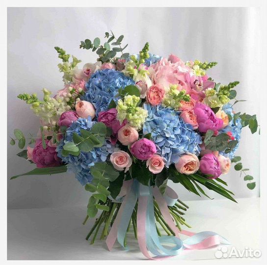 Гортензии цветы