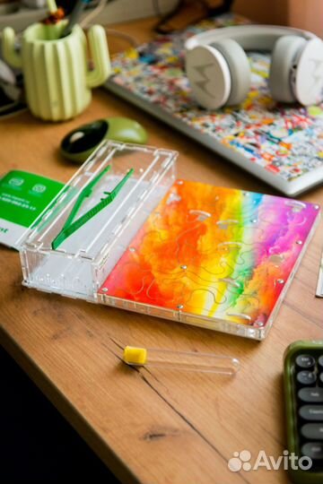 Ферма с муравьями / Формикарий