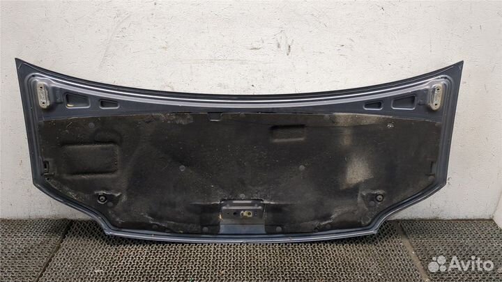 Капот LDV (DAF) Maxus, 2008