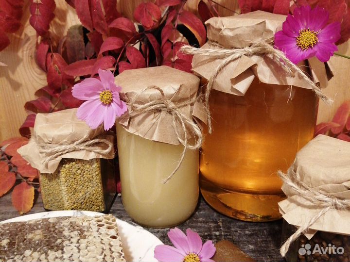 Алтайский Мед 2023, пыльца, прополис, перга Жкв