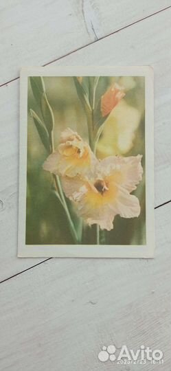 Открытки советские СССР