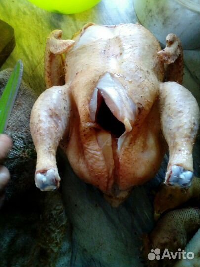 Гусиные туши