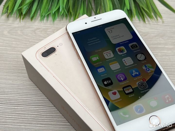 iPhone 8 Plus, 64 ГБ