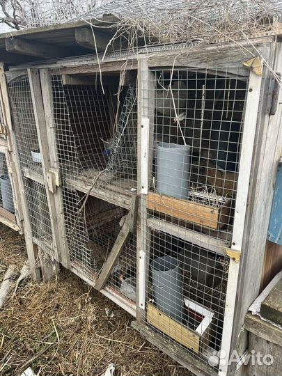 Клетка для кролика