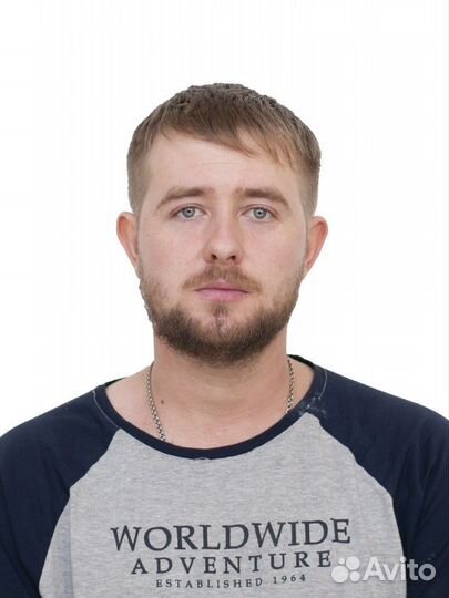 Курьер,сбер,озон