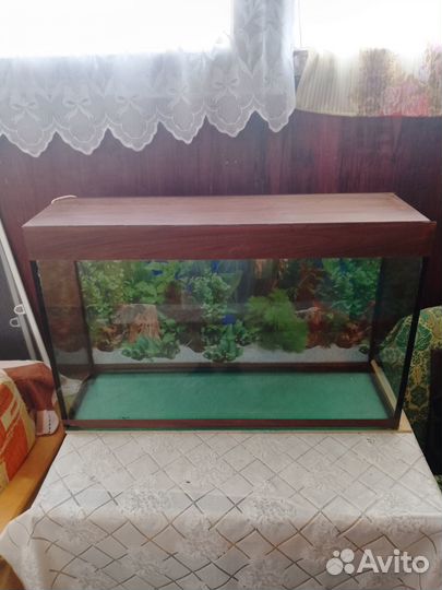 Аквариум на 200 литров