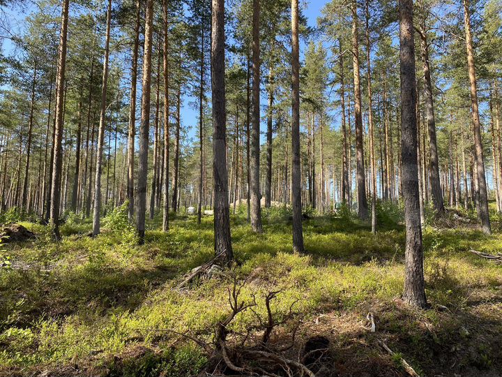 Дом 136 м² на участке 11,3 сот.