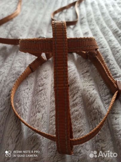 Шлейка для маленькой собаки