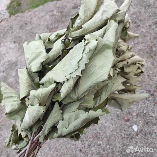 Банные веники дуб береза