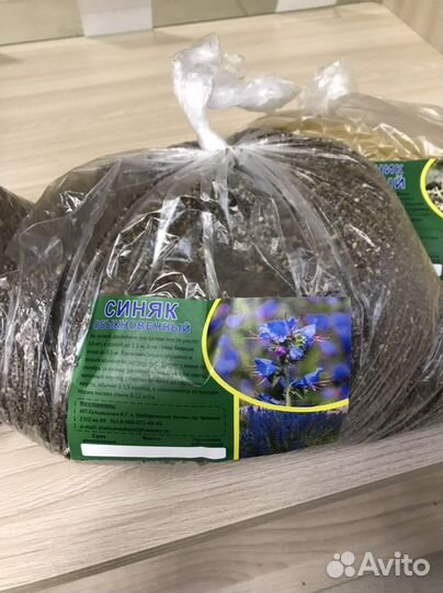 Семена медоносов