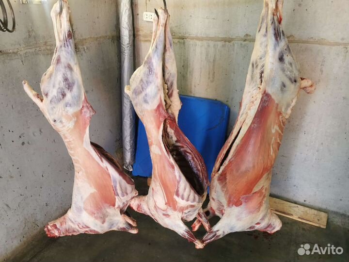 Домашнее мясо