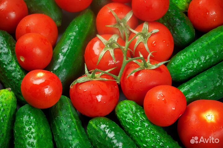 Упаковщики овощей/Работа каждому