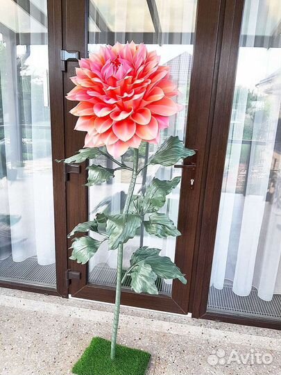 Ростовые цветы