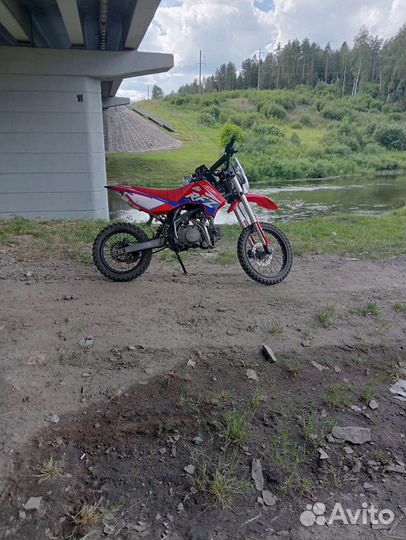 Пит байк apollo rfz