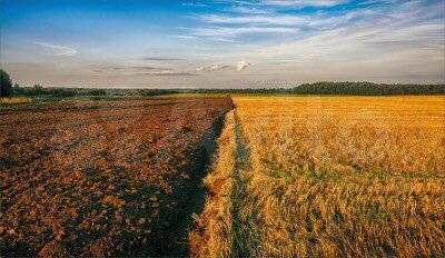 Участок 5 га (СНТ, ДНП)