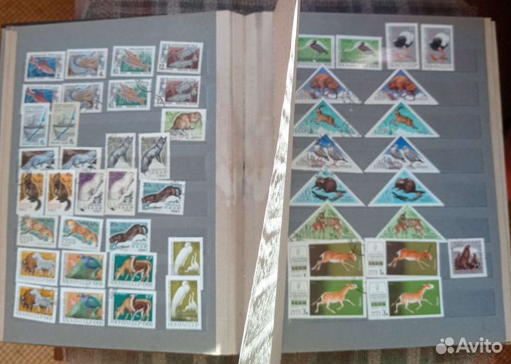 Альбом с марками СССР с 1957 по 1993 Фауна