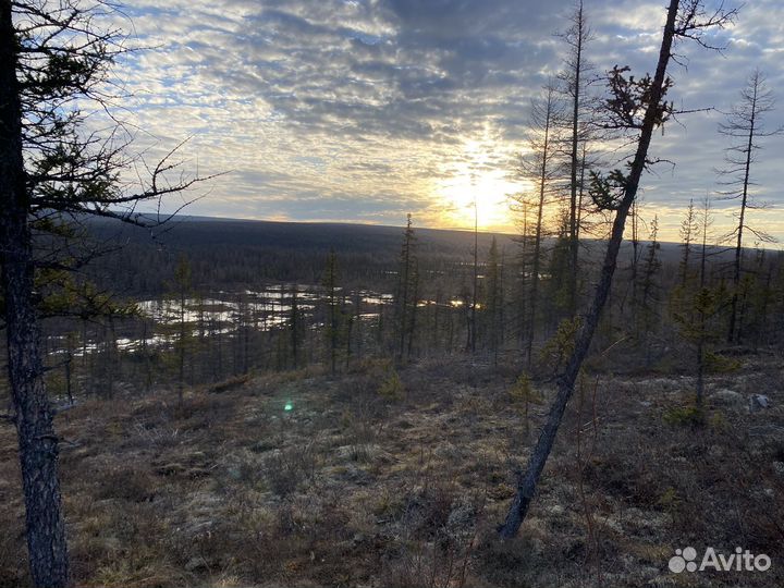 Прогулка на квадроцикле