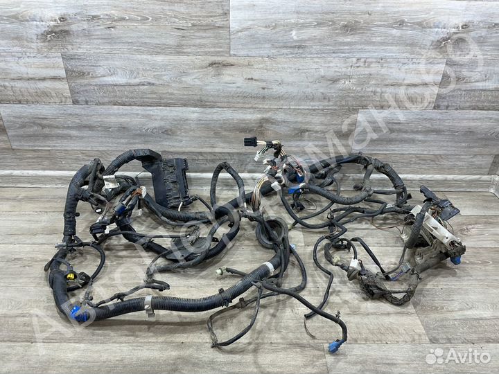 Проводка моторного отсека Nissan Primera P12