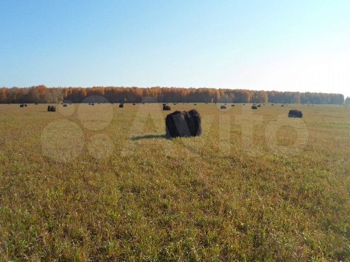 Участок 100 га (СНТ, ДНП)