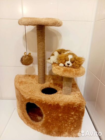 Домик с когтеточкой