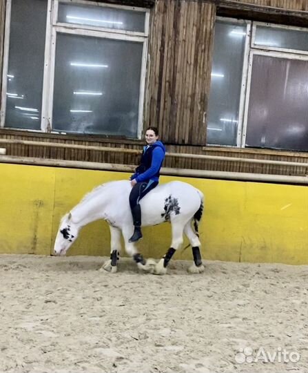 Занятия верховой ездой на тинкере. Выездка, конкур