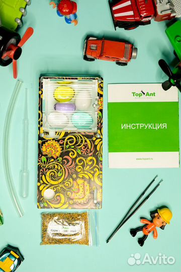 Муравьиная ферма / Формикарий