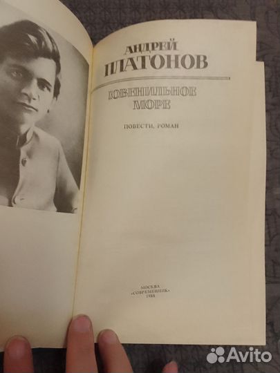 Андрей Платонов 