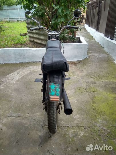 Альфа орион