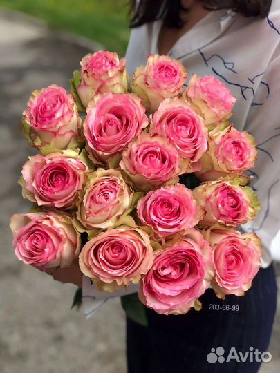 Роза Садовая Малибу букет