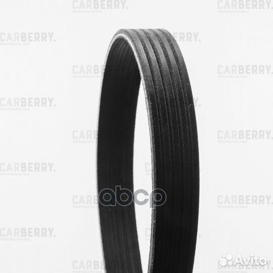 Ремень поликлиновой 5PK1113 carberry