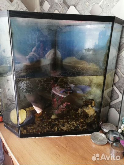 Аквариум