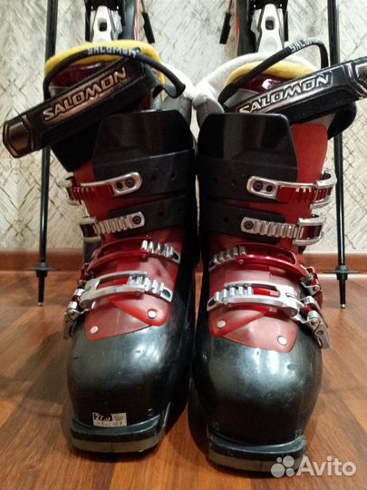 Горные лыжи