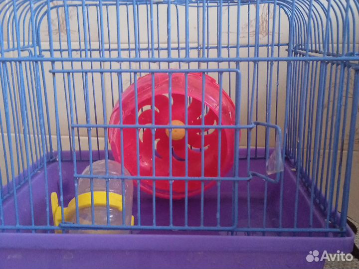 Клетка для грызунов бу