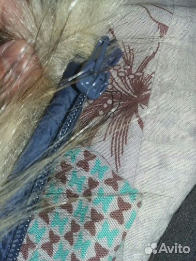 Опушка Енот новая Forward