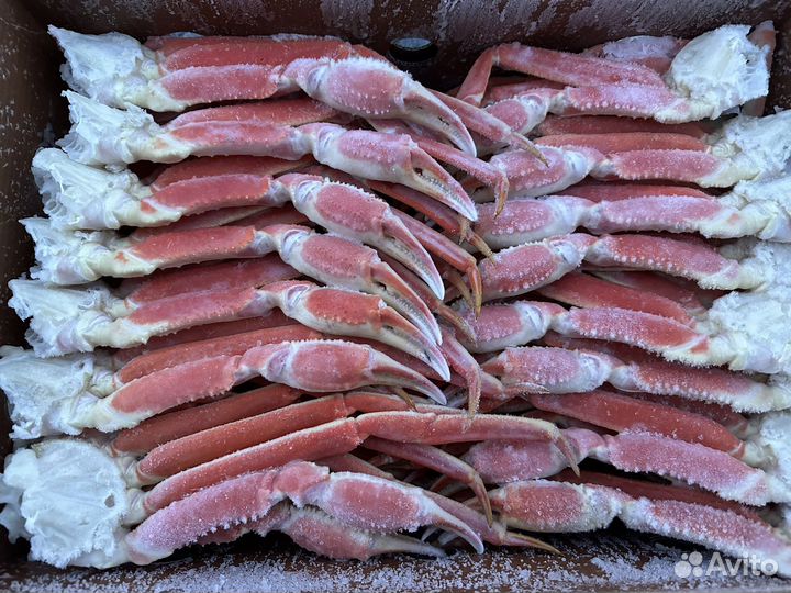 Краб Стригун клешни опт/розница