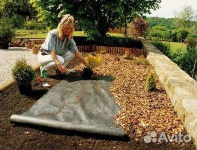 Газон рулонный