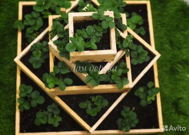 Грядка под клубнику ярусная высокая деревянная рас