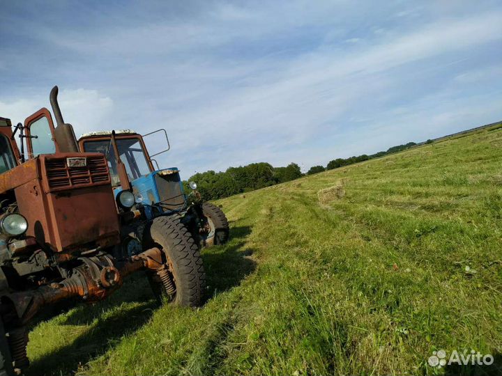 Сено в тюках