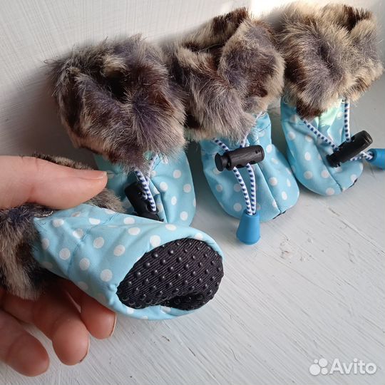 Одежда и обувь для маленьких собак