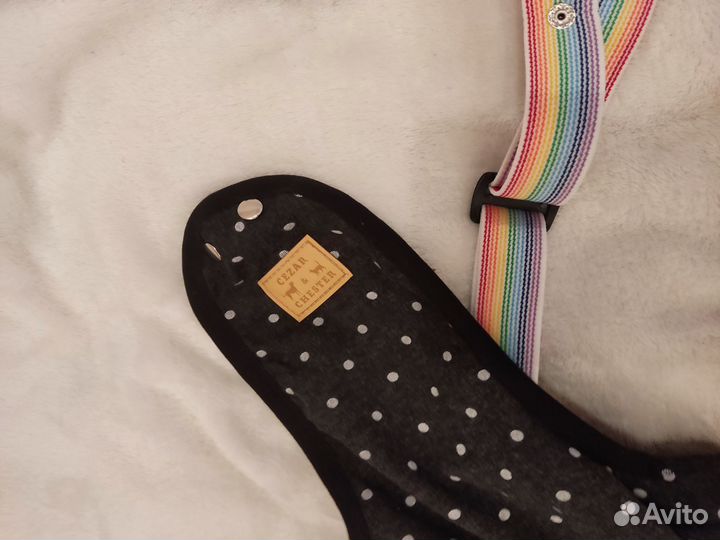 Одежда для собак