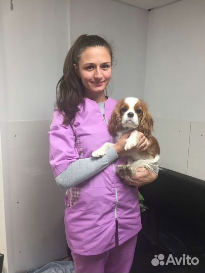 Кинолог зоопсихолог