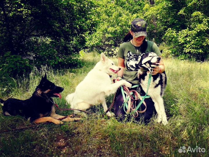 Дрессировка и Зоопсихология (Кинолог+Ветеринар)