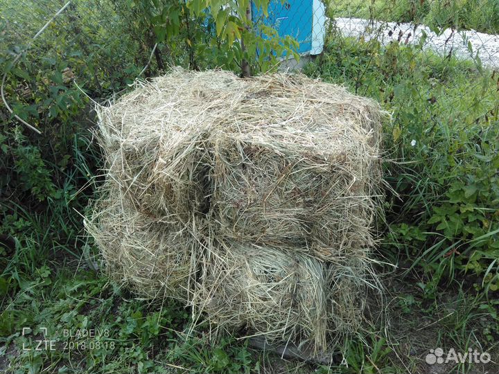 Сено в петербурге. Тюк ткани фото. Сено в петербурге. Отличие соломы гт сена. Сено в петербурге.