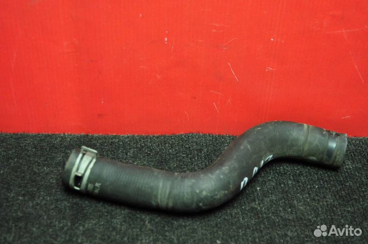 Патрубок радиатора nissan primera P12