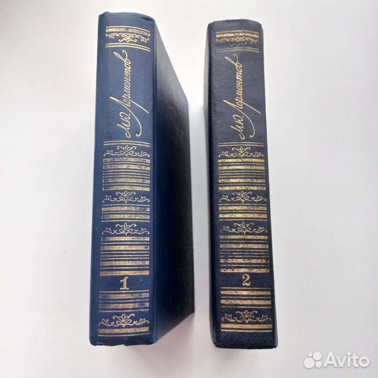 М.Ю.Лермонтов, 2 тома