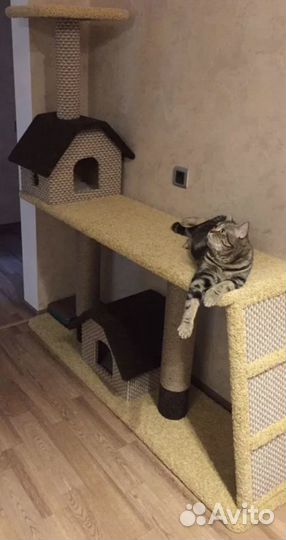 Кошкин кот-дом