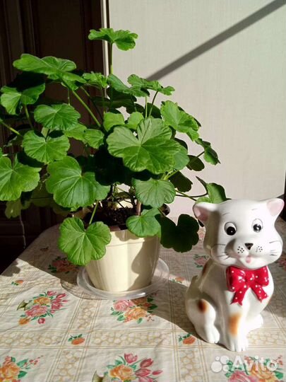 Копилка - кот (статуэтка)