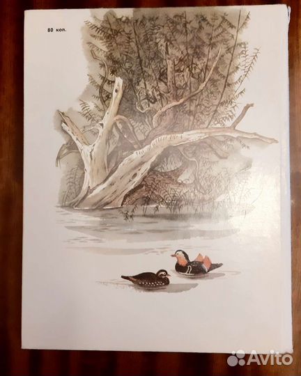 А. Максимов 