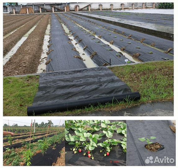 Спанбонд черный, Мульча (60)